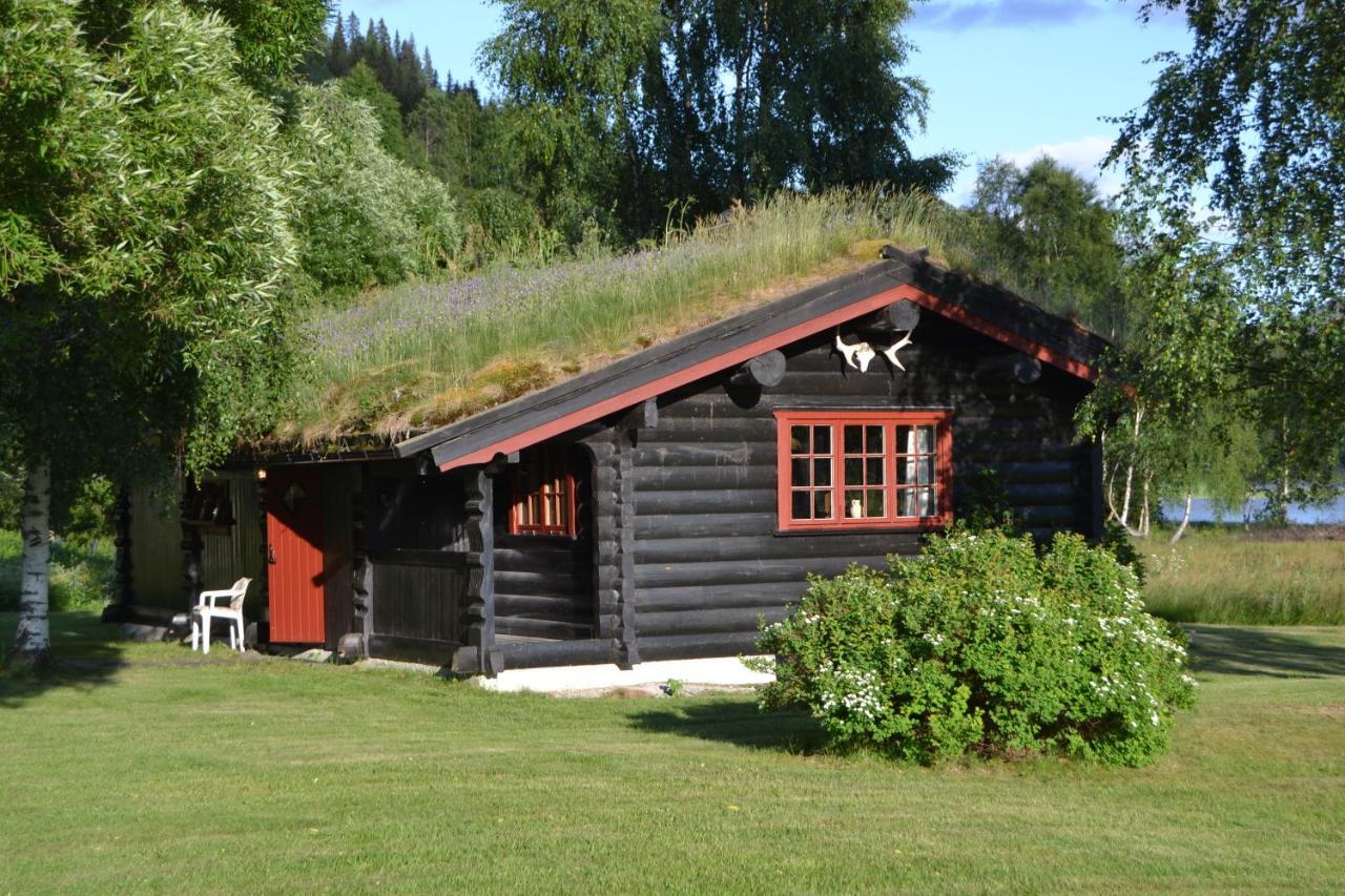 Отель Morgedal Lavvo Camping Экстерьер фото